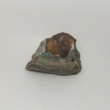Chiastolite 98.75 gr