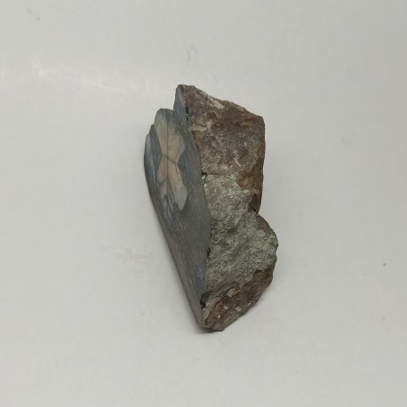 Chiastolite 98.75 gr