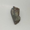 Chiastolite 98.75 gr