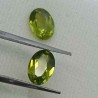 Peridot 1.60ct (2u)