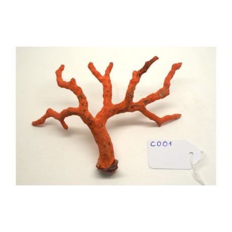 CORAL VERMELL MEDITERRANI