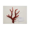 CORAL RED  MEDITERRANEAN
