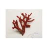 CORAL RED  MEDITERRANEAN