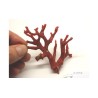 CORAL VERMELL MEDITERRANI