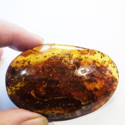 AMBER UKRAINE