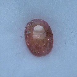 PEZZOTTAITA 