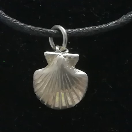 Silver shell