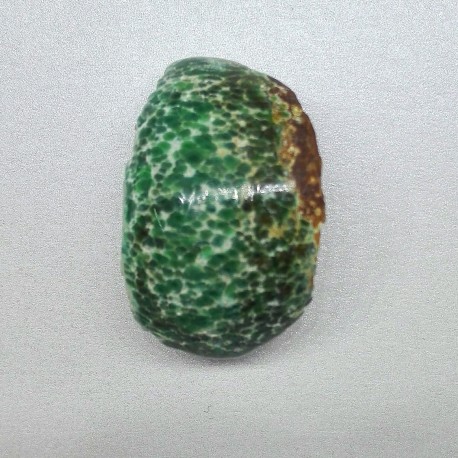VARISCITE